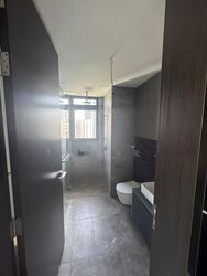 Irwell Hill Residences (D9), Apartment #502810011